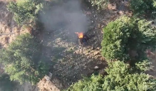 Diyarbakır’da 5,7 ton toz esrar elde edilebilecek kök kenevir ve skunk imha edildi