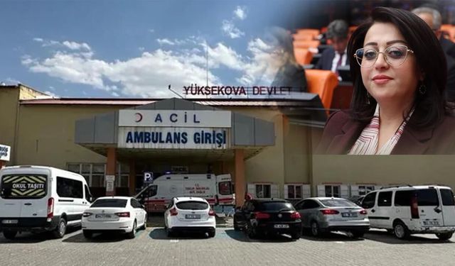 Yüksekova’nın sağlık sorunları Meclis’e taşındı: Anjiyo ve yanık ünitesi neden yok?