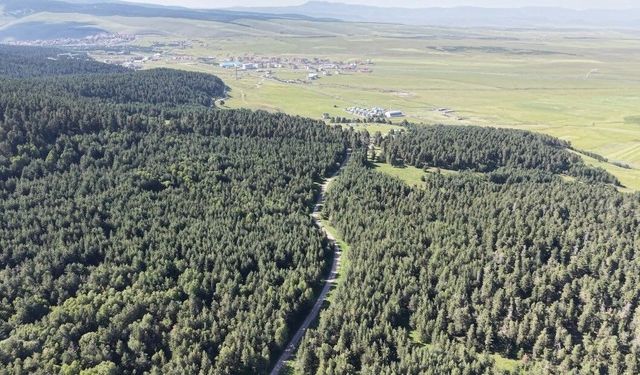Kars’ta orman yangınlarına karşı yeni tedbirler
