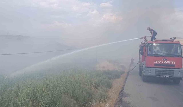 Siirt Üniversitesi Kezer yerleşkesi yakınlarında örtü yangını
