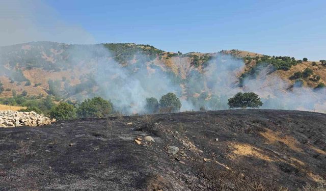 Genç’te Kırsal Alanda Çıkan Yangın Kontrol Altına Alındı