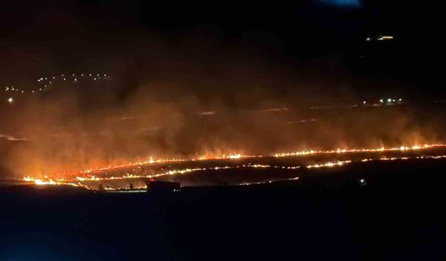 Tatvan’da makilik alanda yangını: Yaklaşık 300 dönüm alan kül oldu