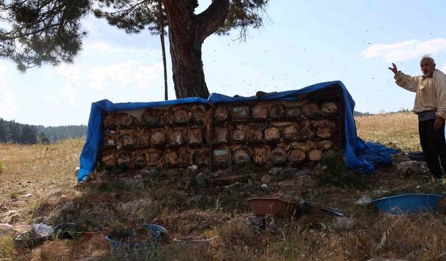 Emekli imam, Toroslar’ın zirvesinde arılarla doğal hayatı seçti