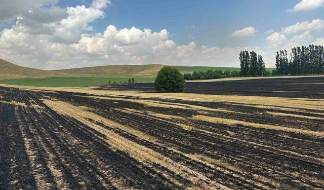 Bitlis’te örtü yangını: 400 dönüm alan küle döndü