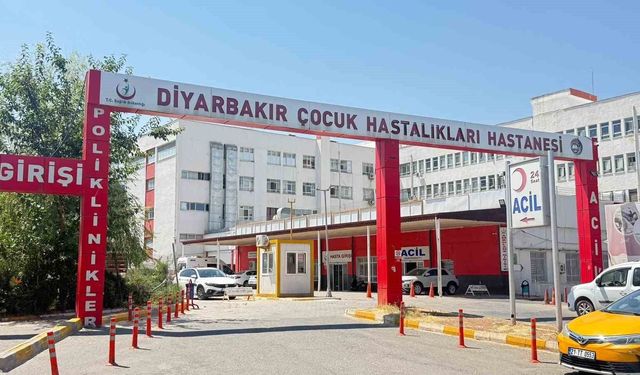Diyarbakır’da kedinin ısırdığı çocuk entübe edildi, testlerde kuduz çıktı
