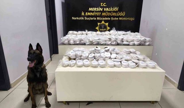 Piyasa değeri 13 milyon 960 bin lira olan 3 kilo 490 gram kokain ele geçirildi