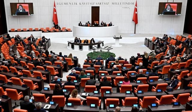 Meclis Genel Kurulu'nda çerçeve yasa görüşmeleri başladı