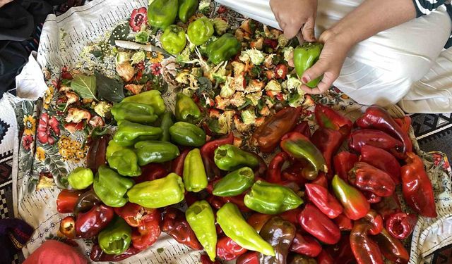 Ağrı’da kış hazırlıkları başladı: Kapya biberler ipe diziliyor