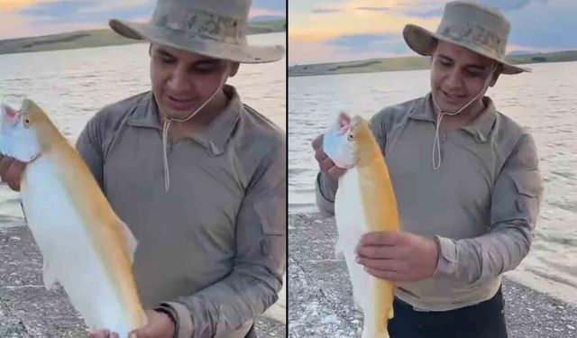 Keban Baraj Gölü’nde sarı renkli albino alabalık yakalandı