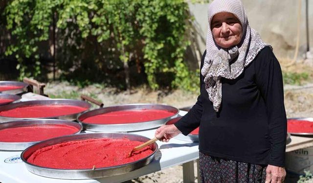 Yazlıkçıların kış hazırlığı: Domates salçası tepsilerde güneşte olgunlaşıyor