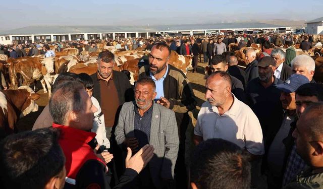 Kars Hayvan Pazarı’nda sıkı denetim: Hayvan hareketliliğine sağlık ve güvenlik filtresi