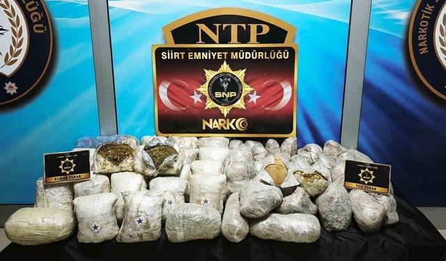 Koyun yünleri içerisine gizlenmiş 37 kilo esrar ele geçirildi