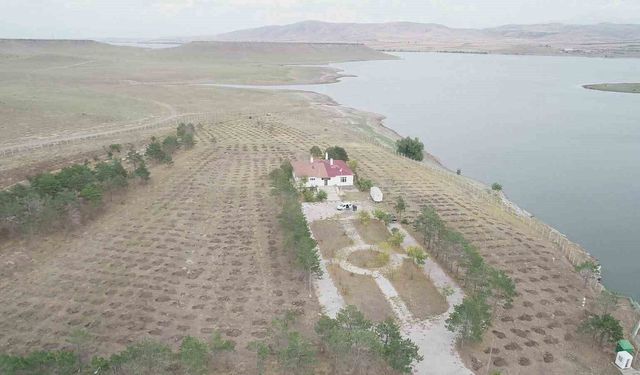 Kars’ta "Yeşil Vatan" için kurumlar güçlerini birleştirdi