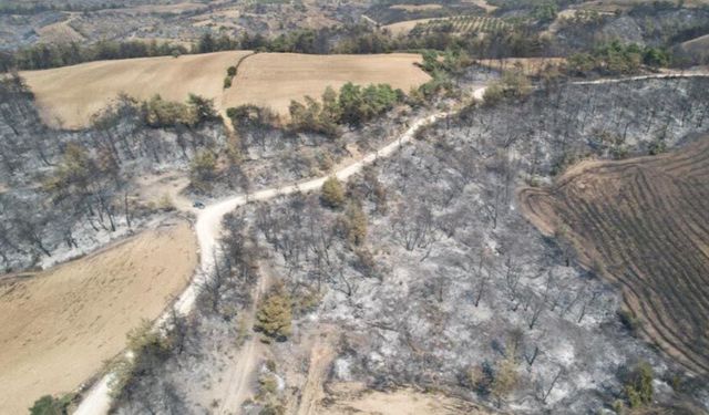 Yangın sonrası acı manzara: "Canımızı zor kurtardık"