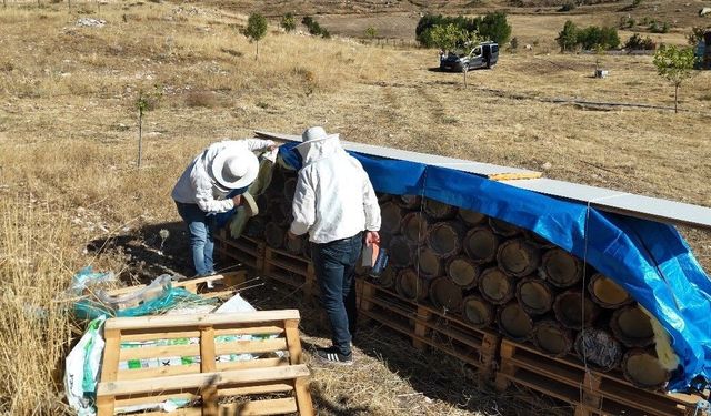 Tunceli’de yüzyıllık arıcılık geleneği yaşatılıyor