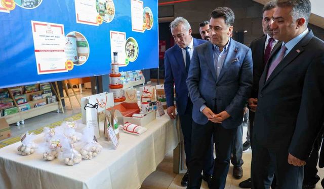’Pülümür Yer Altı Kaynak Tuzu’ coğrafi işaretle tescillendi
