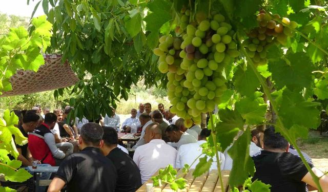 Batman’da mezrone üzümü için tarihi adım: Bağlıca köyünde kooperatifleşme heyecanı