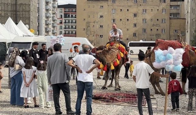 Yüksekova’da Develer ve Midilli Atları İlgi Odağı Oldu