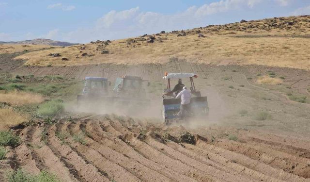 Adilcevaz’da buğday ekim sezonu başladı