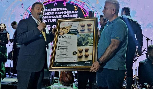 Darende’nin tescilli cevizi dünyaca ünlü rakibine fark attı