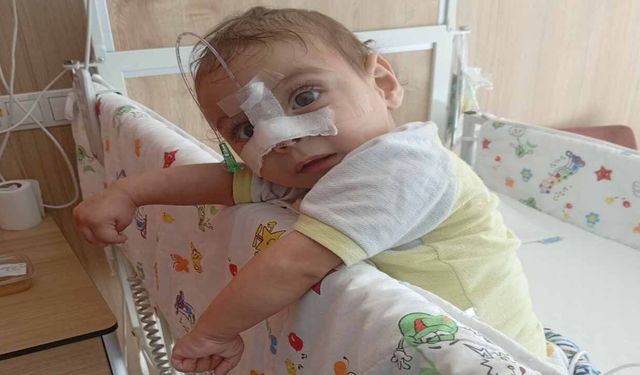 Tedavi Altına Alınan Hakkarili Özkan Bebek Destek Bekliyor