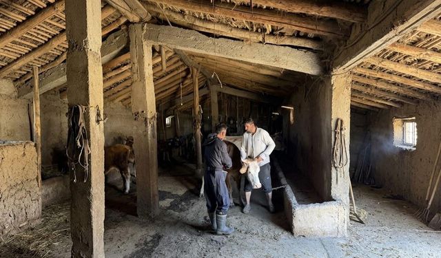 Bulaşıcı Hastalıklara Karşı Aşılama ve Kayıt Çalışmaları Sürüyor