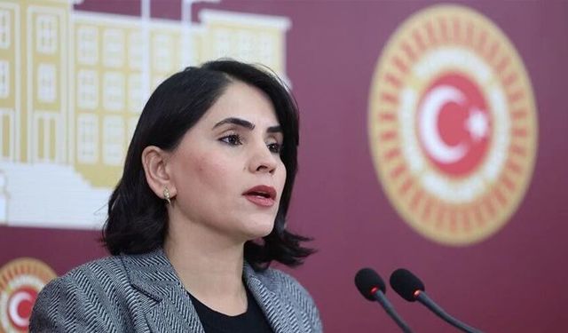 DEM Partili Aslan: Meclis fon soruşturması gündemiyle açılmalı