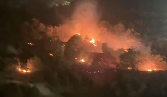 Yeşiltaş köyünde ağaçlık alanda yangın