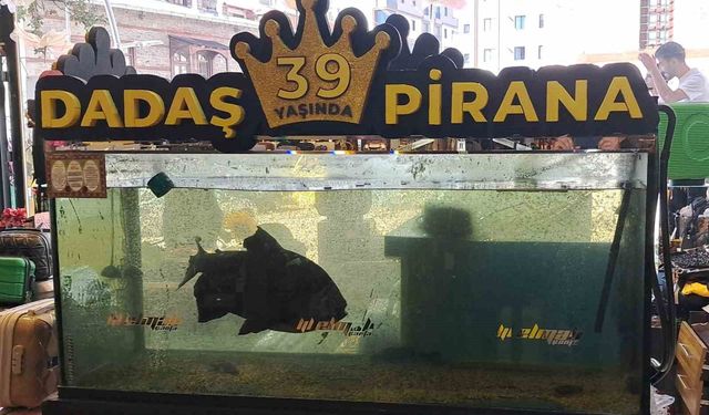39 yaşındaki ’Dadaş Pirana’ Erzurum’da bir neslin çocukluk hatırası oldu