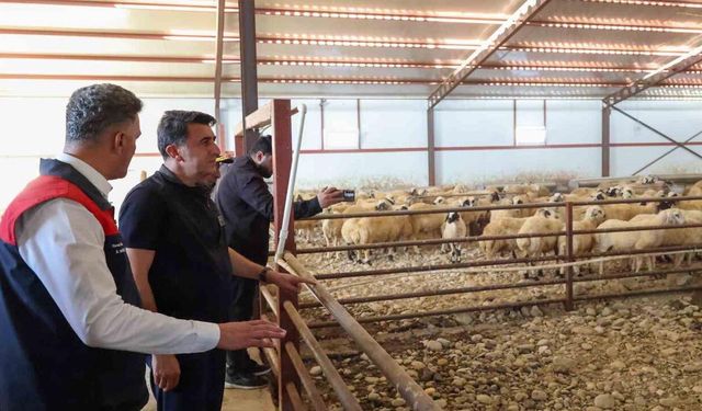 Tunceli’de kırsal kalkınma destekleri üreticiye güç veriyorÜÜ