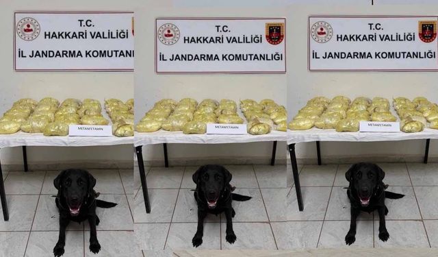 Hakkâri’de çok sayıda uyuşturucu madde ele geçirildi