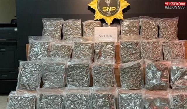 Yolcu otobüsünde 16 kilo 400 gram skunk ele geçirildi