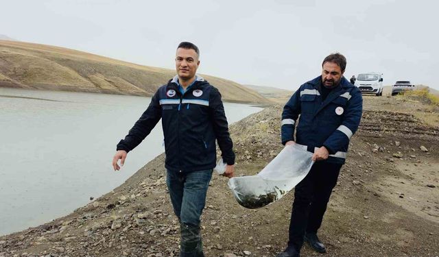 Van’ın su ürünleri sektöründen ekonomiye 25 milyon dolarlık katkı