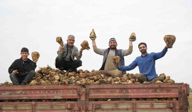 Muş ekonomisine pancardan 2 buçuk milyar TL’lik katkı