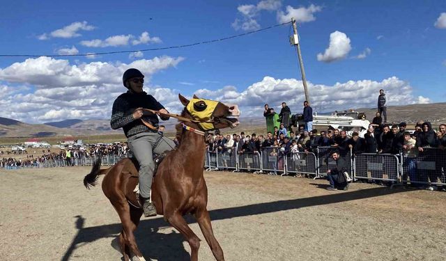 Bingöl’de geleneksel at yarışları renkli görüntülere sahne oldu