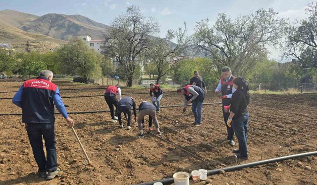 Tunceli’de 70 yaşındaki Şehriban teyzenin yardımına ekipler yetişti