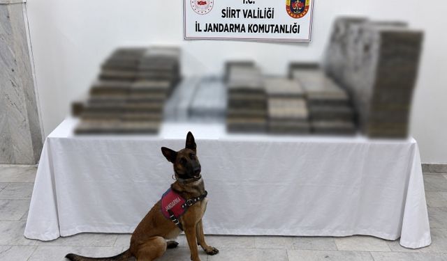 Siirt’te 10 bin 250 paket kaçak sigara ele geçirildi