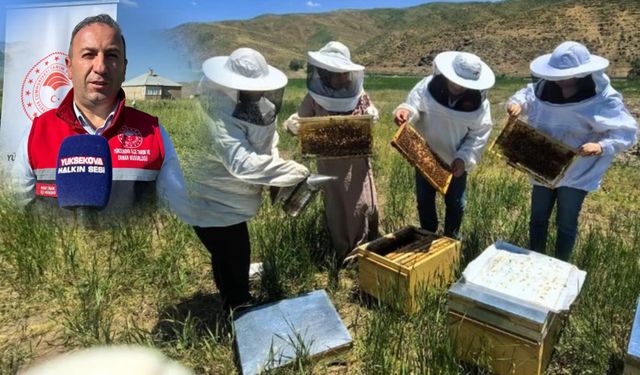 Arılı kovan desteği için başvurular başladı