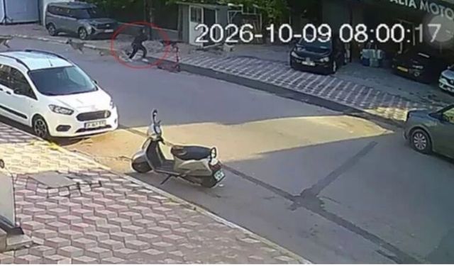 Okul yolunda köpek saldırısı: 15 yaşında kız öğrenci yaralandı