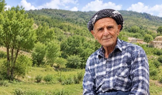 Şemdinli’de ceviz ağacından düşen vatandaş hayatını kaybetti
