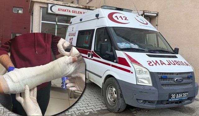 Hakkari’de ceviz toplarken ağaçtan düşen 5 kişi yaralandı