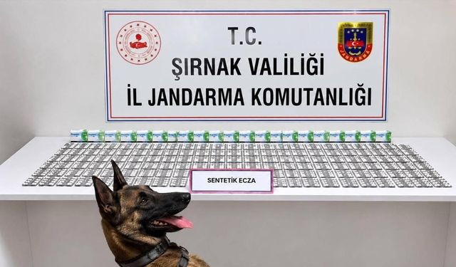 Şırnak’ta jandarmadan uyuşturucu ve aranan şahıslara operasyon: 12 tutuklama