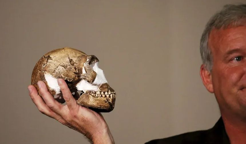 200 bin yıllık mezarlık bulundu: 'Evrime bakışı değiştirebilir'
