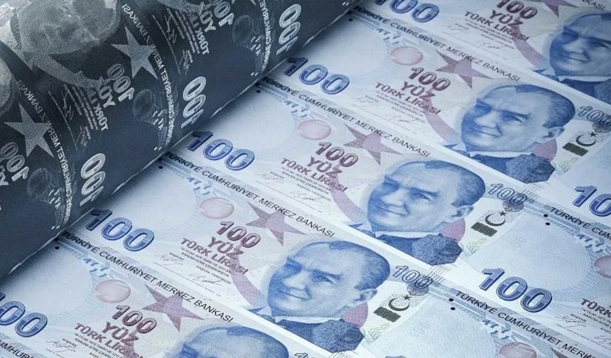 Asgari ücret 10 günde 55 dolar eridi