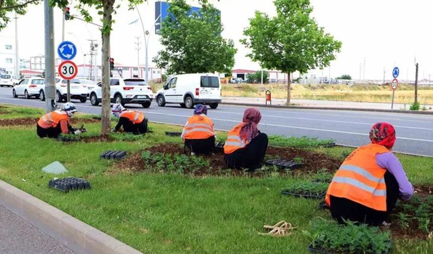 Diyarbakır 700 bin mevsimlik çiçekle süslendirildi