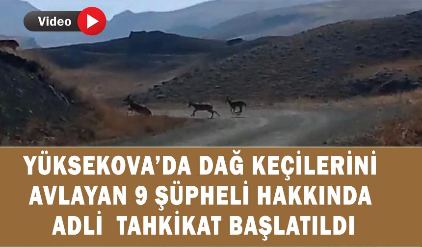 Yüksekova’da dağ keçilerini avlayan 9 şüpheli hakkında adli tahkikat başlatıldı