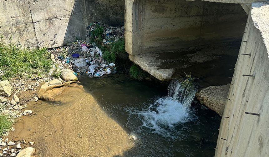İnsan sağlığını hiçe sayıyorlar: Yüksekova Dilimli Barajı’na akan dereye köylüler bu senede çöplerini bıraktı