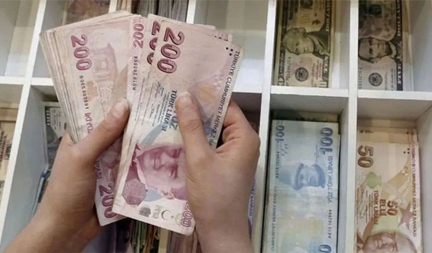 Türkiye İstatistik Kurumu (TÜİK) verilerine göre, 2024 Temmuz ayında TÜFE, bir önceki aya göre yüzde 3,23, bir önceki yılın aynı ayına göre yüzde 61,78 oranında artış gösterirken; bir önceki yılın aynı ayına göre artışın en yüksek olduğu ana grup ise yüzde 104,50 ile eğitim oldu.