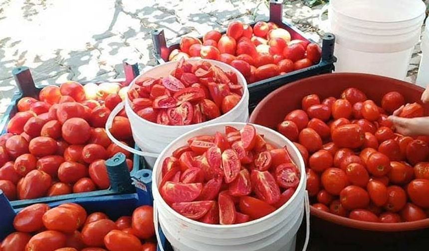 Bitlis’te kadın kooperatifi ilk hasadını gerçekleştirdi