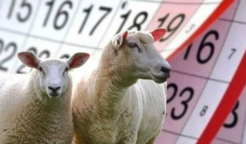 Kurban Bayramı tatili kaç gün olacak? Resmi açıklama yapıldı